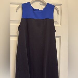 Black and Blue Dress